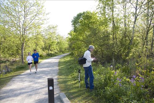 Nature Photographers
