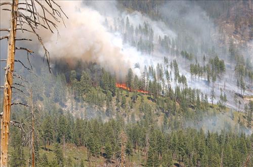 Fire monitors observe fire activity on the Comb Complex wildfire, Sequoia and Kings Canyon National Parks, July 2005
