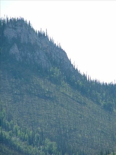 6 Yukon-Charley Rivers National Preserve Peregrine Falcon Survey July 2006