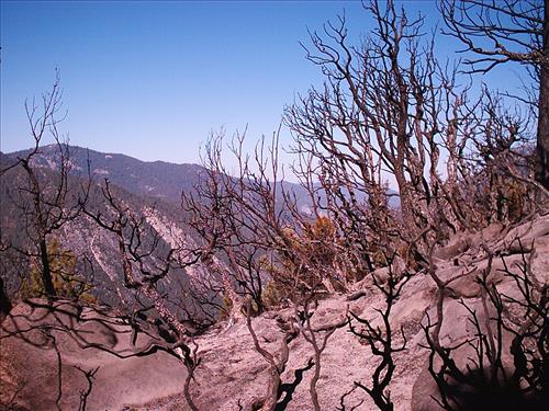 North wildfire, Sequoia and Kings Canyon National Parks, summer 2004