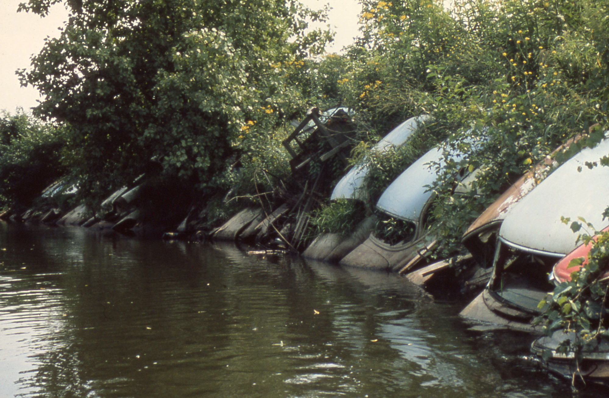 Several antique cars with rounded tops and no windshields arranged neatly along the bank of a brown river, all partially submerged in the water and green plants growing up around and through them.