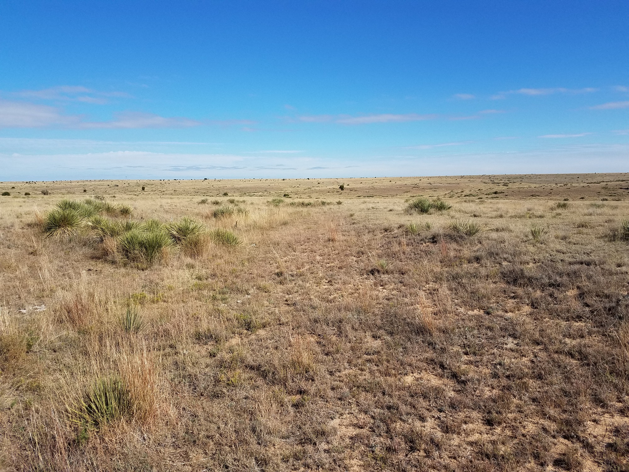 Wide open prairie at Cimarron National Grassland - 2