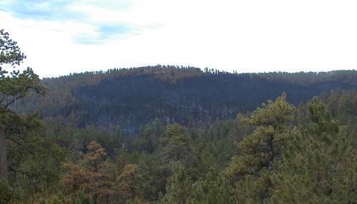 Jasper Fire, Jewel Cave National Monument, August 2000