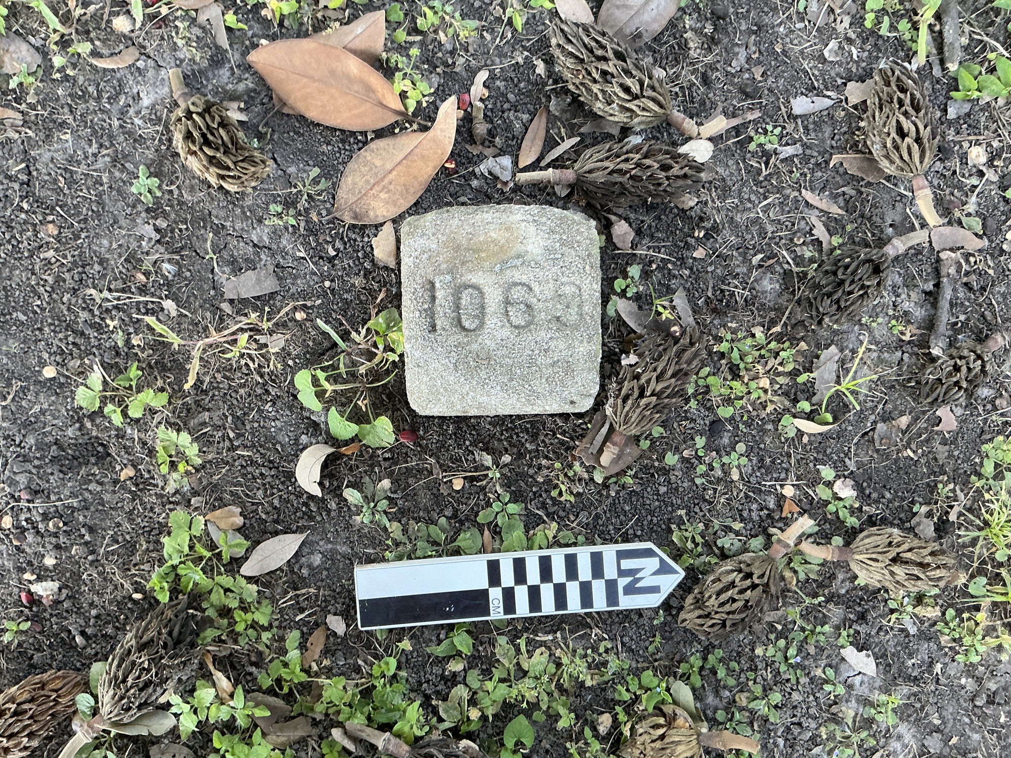 Extra image of flat marble marker