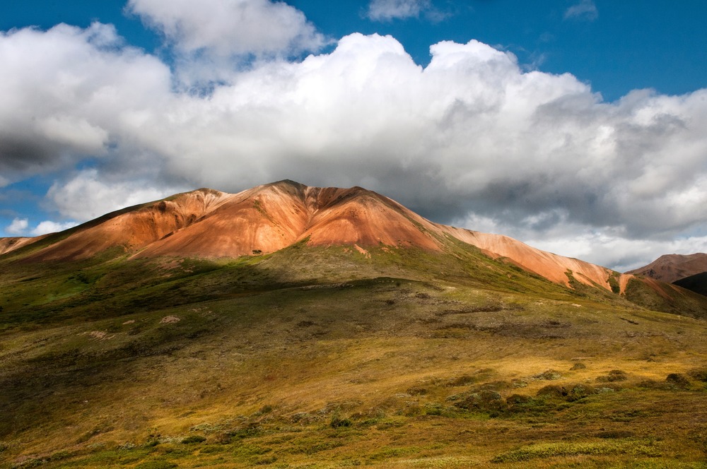 Perfect Day- Highway Pass