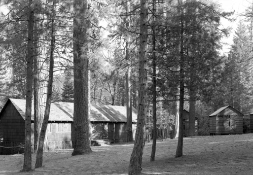 New houses on Section 35 at Wawona.