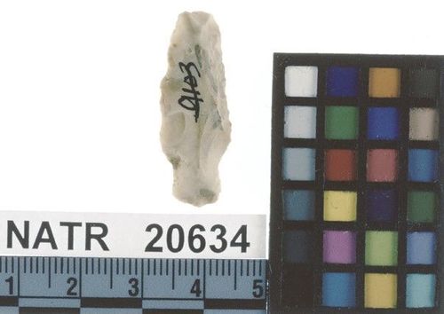 NATR   20634 -- Untyped projectile point