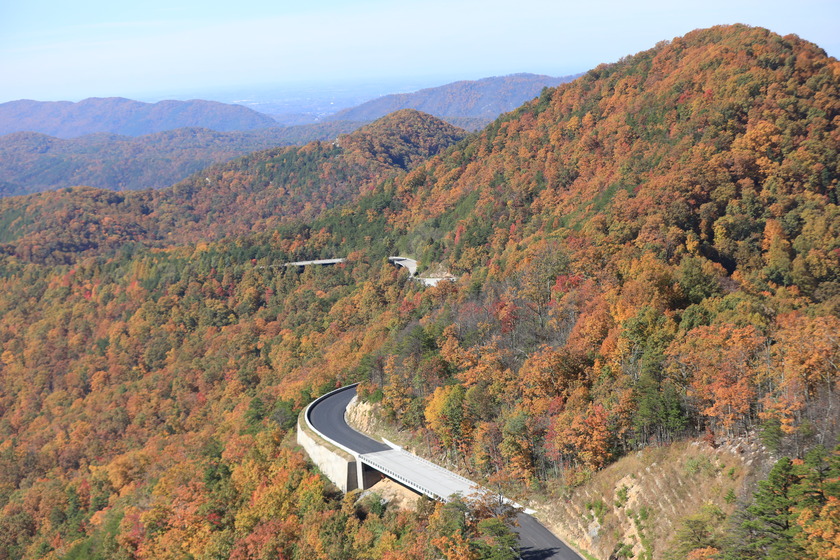 Road winding along a mountain range covered in fall foliage