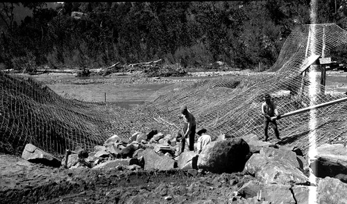 Basket dam #1 construction along the Virgin River with a view of willow mat underneath the wire.