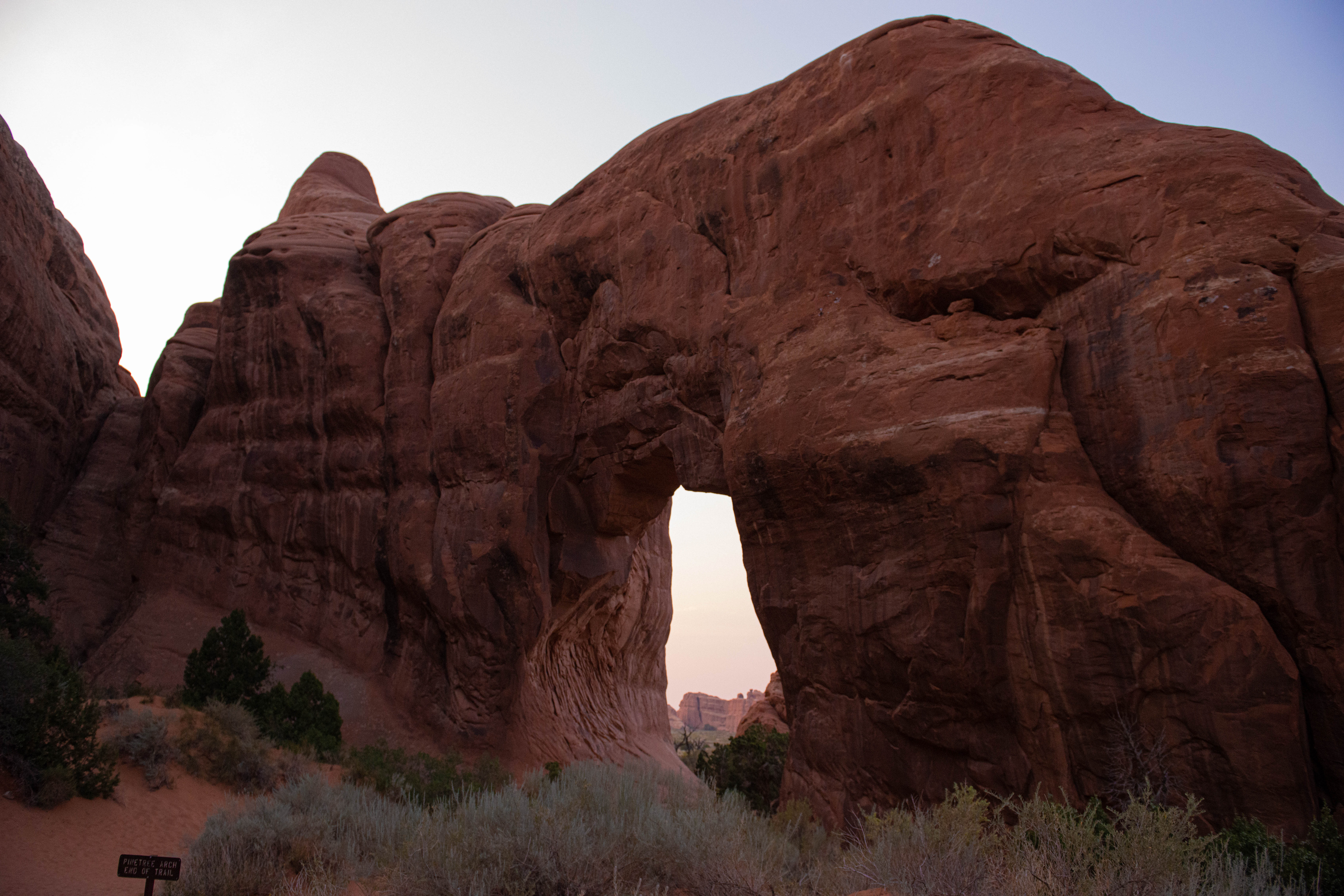 Pine Tree Arch opens from a Sandstone Rock fin.  Desert shrubs sparse the foreground.  