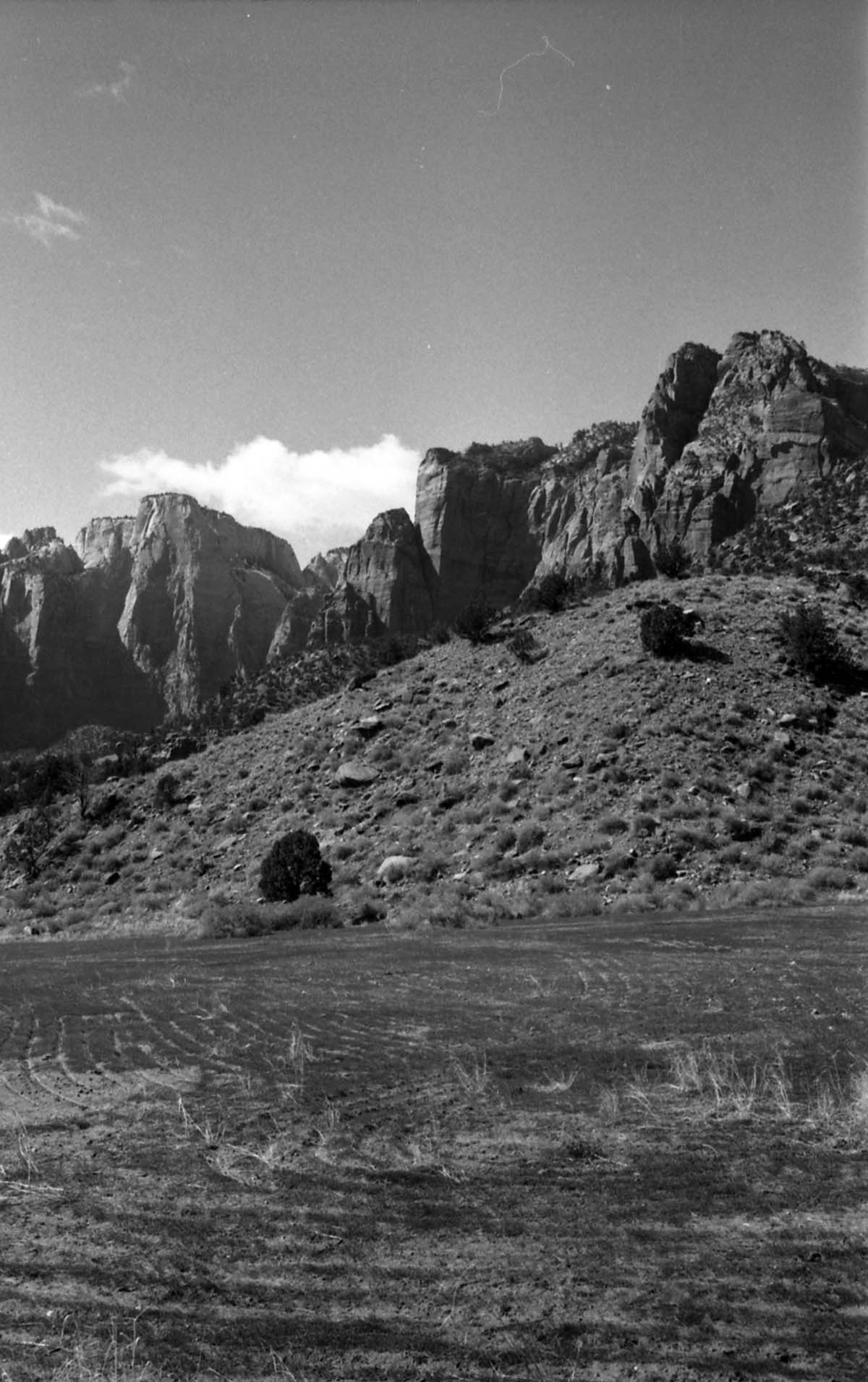 BW Photos of Zion Canyon. 35mm.
