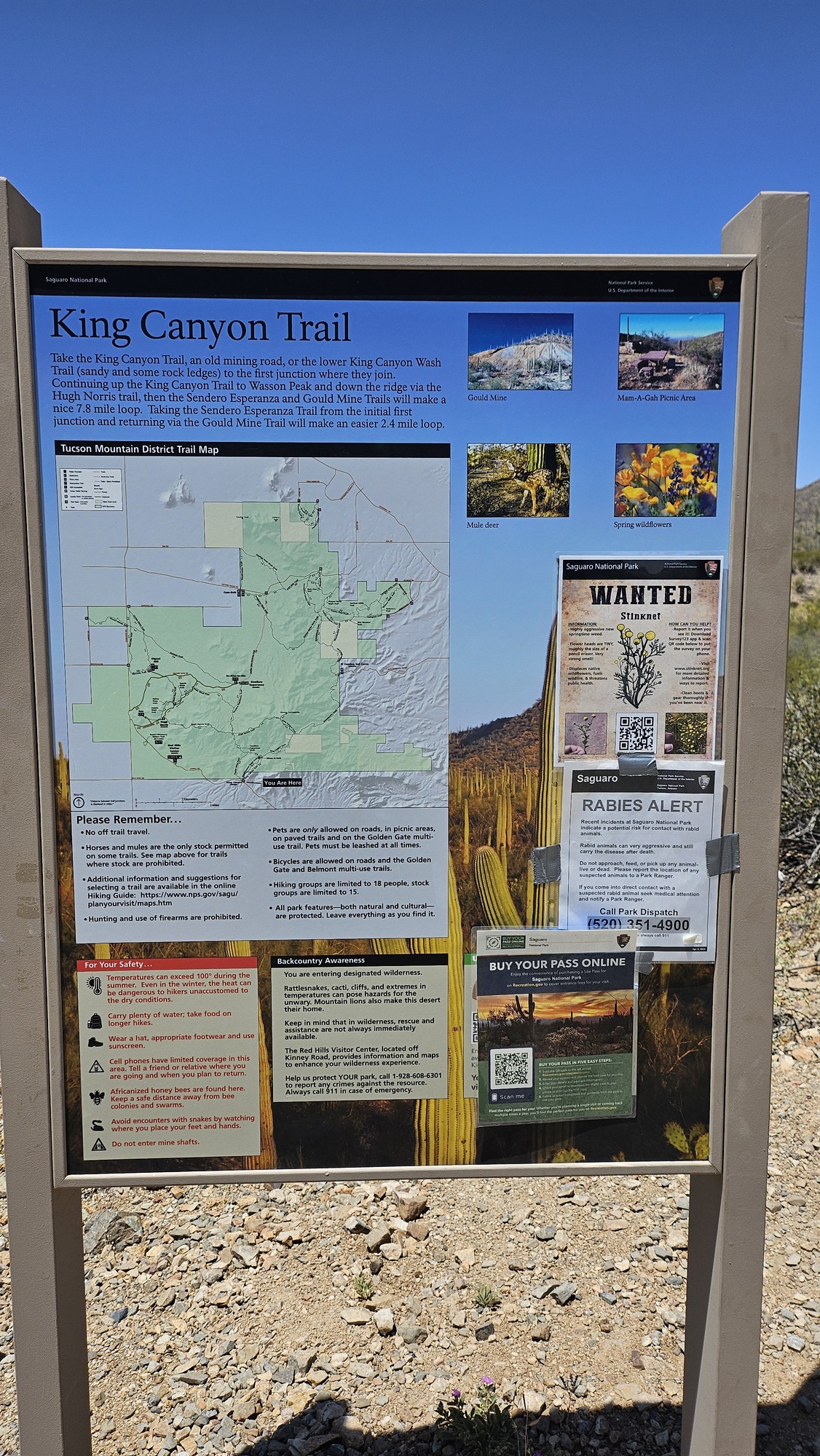 Vertical image. The entirety of the image shows the major trailhead sign for the King Canyon Trail, trail name at the top in black. Unreadable text discusses the trail and safety tips. The left of the sign has a large map, and images of geology and various flowers on the right.
