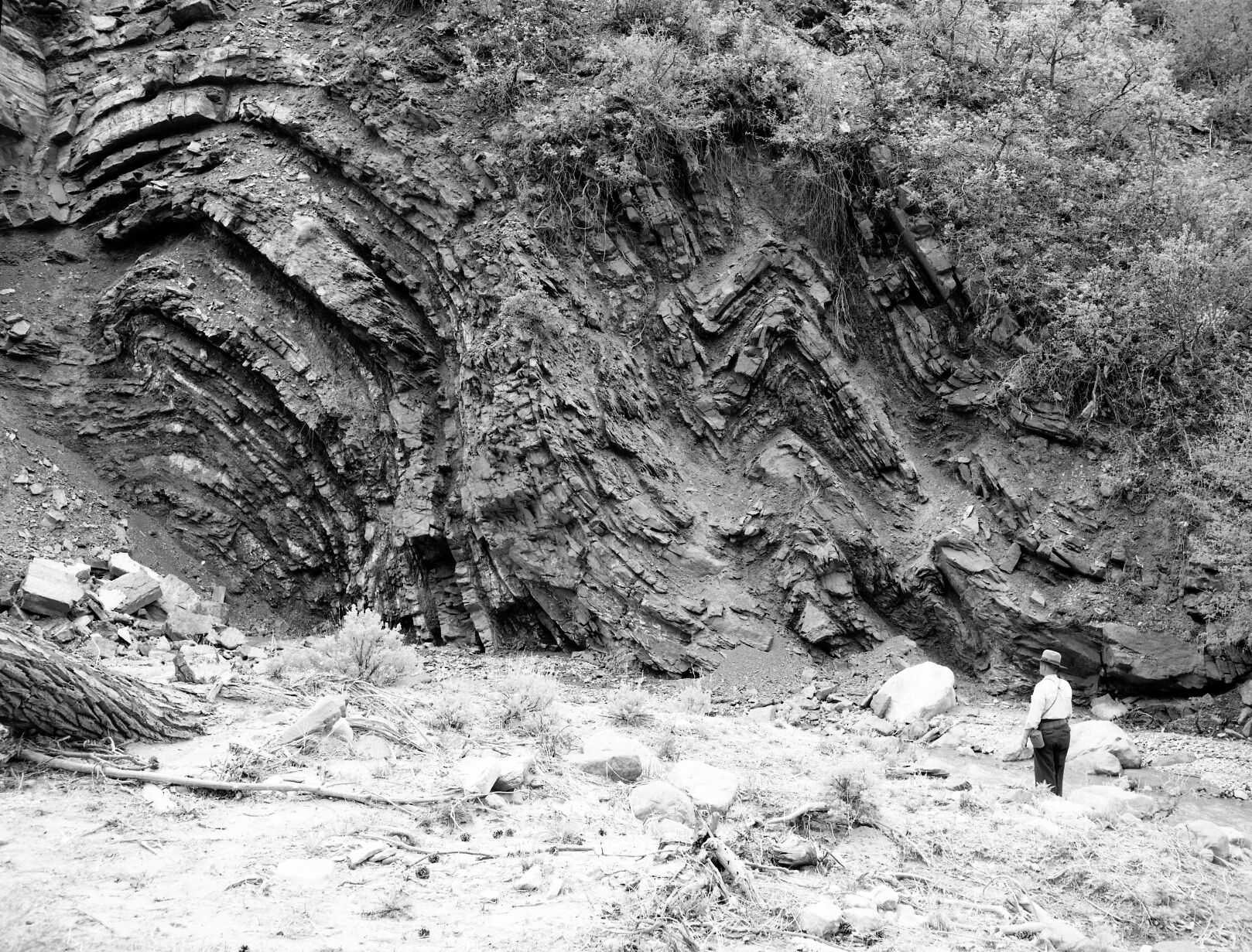 Geologic fold up Taylor Creek near trail to Lee's Pass. Larry Quist at left.