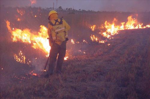Prescribed burning at Everglades National Park, April 2002