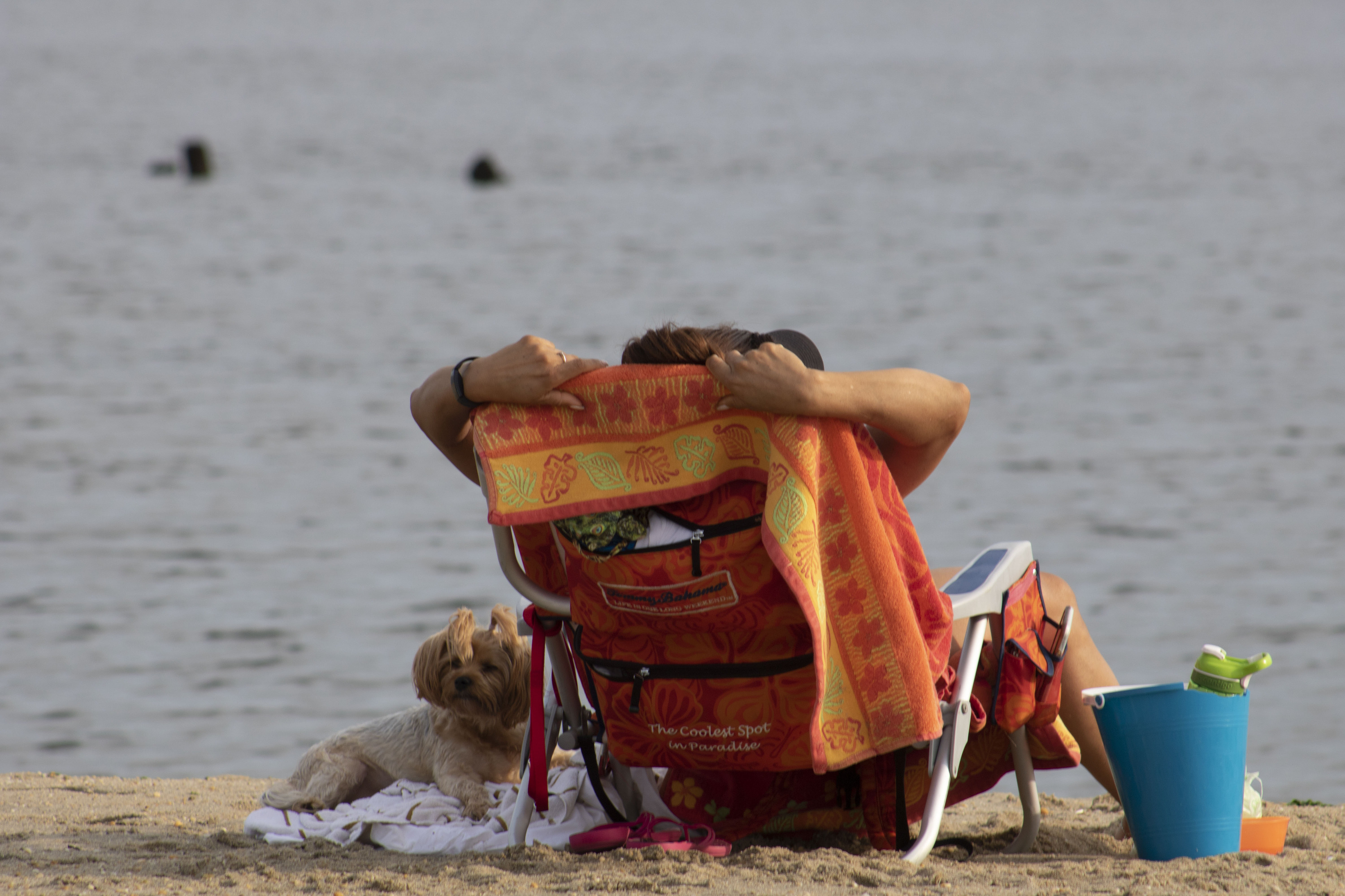 Beach Goer in chair with dog