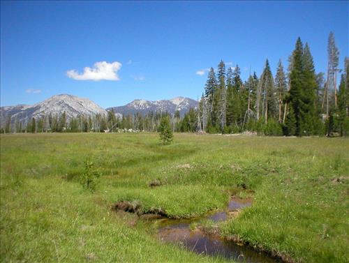 Ellis Meadow in Aug. 2003, Sequoia and Kings Canyon National Park