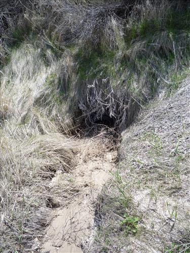 BADL Facility Management Collection: Rehabilitation of Loop Road with ARRA Funding at Badlands National Park