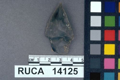 RUCA   14125 -- Point, Projectile