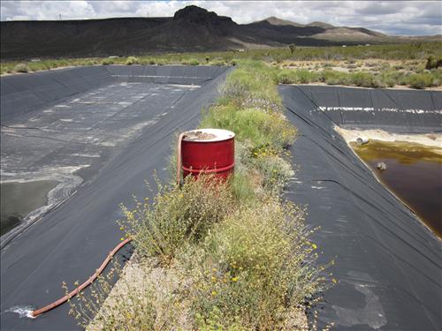 Telegraph Mine's environmental contamination related to gold processing.