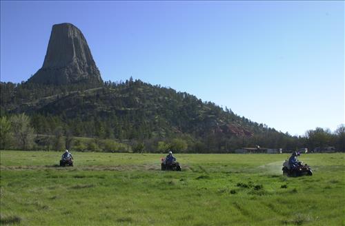 2006-2010 Meadow Restoration