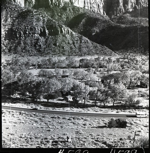 Growth of shade trees around Zion Inn and cabins.