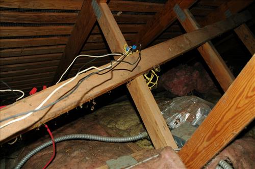 KEAQ-Existing Conditions at Kenilworth Aquatic Gardens, December 10, 2009