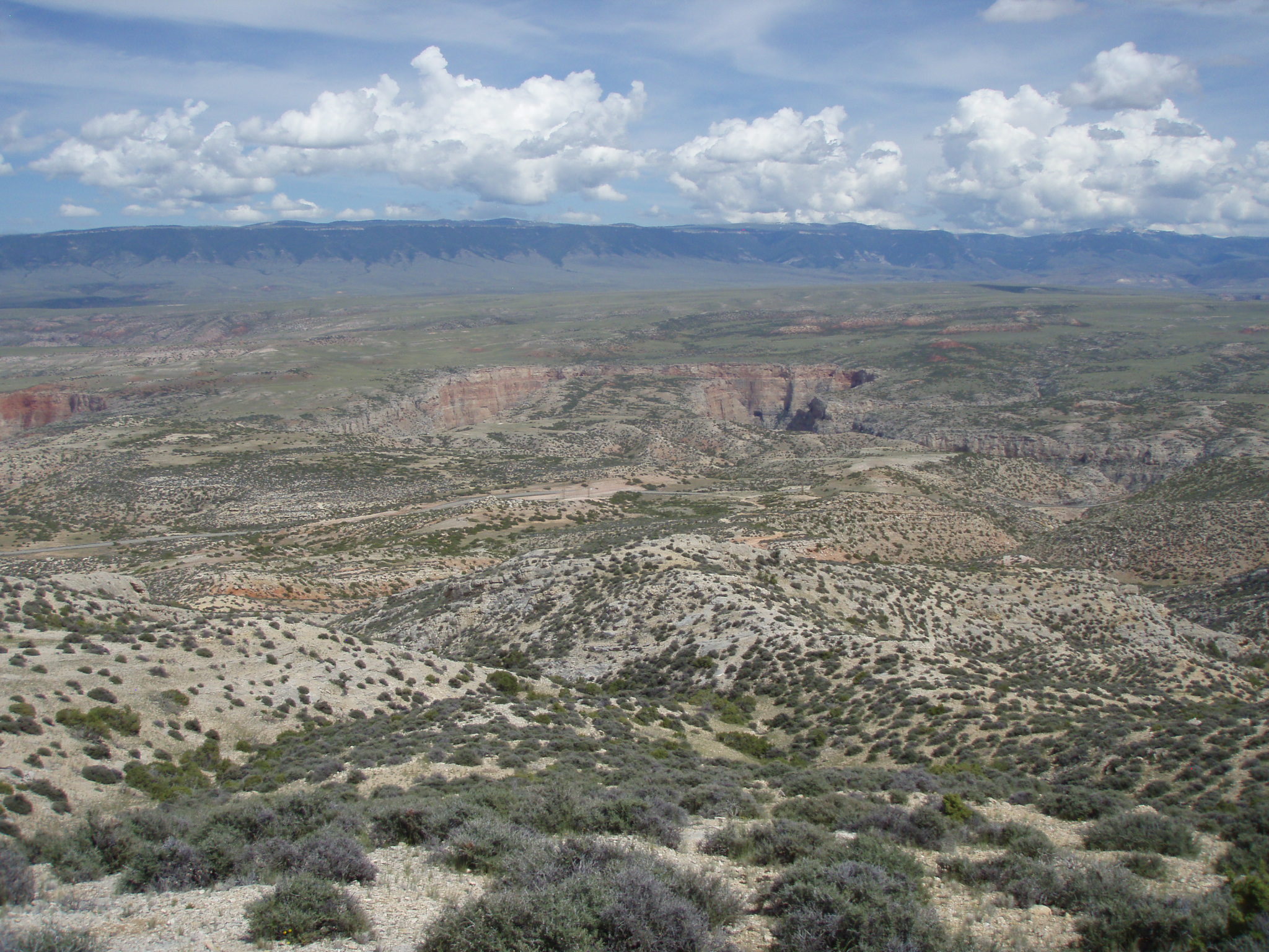 Image of the vegetation and landscape at photo point in Bighorn Canyon NRA 