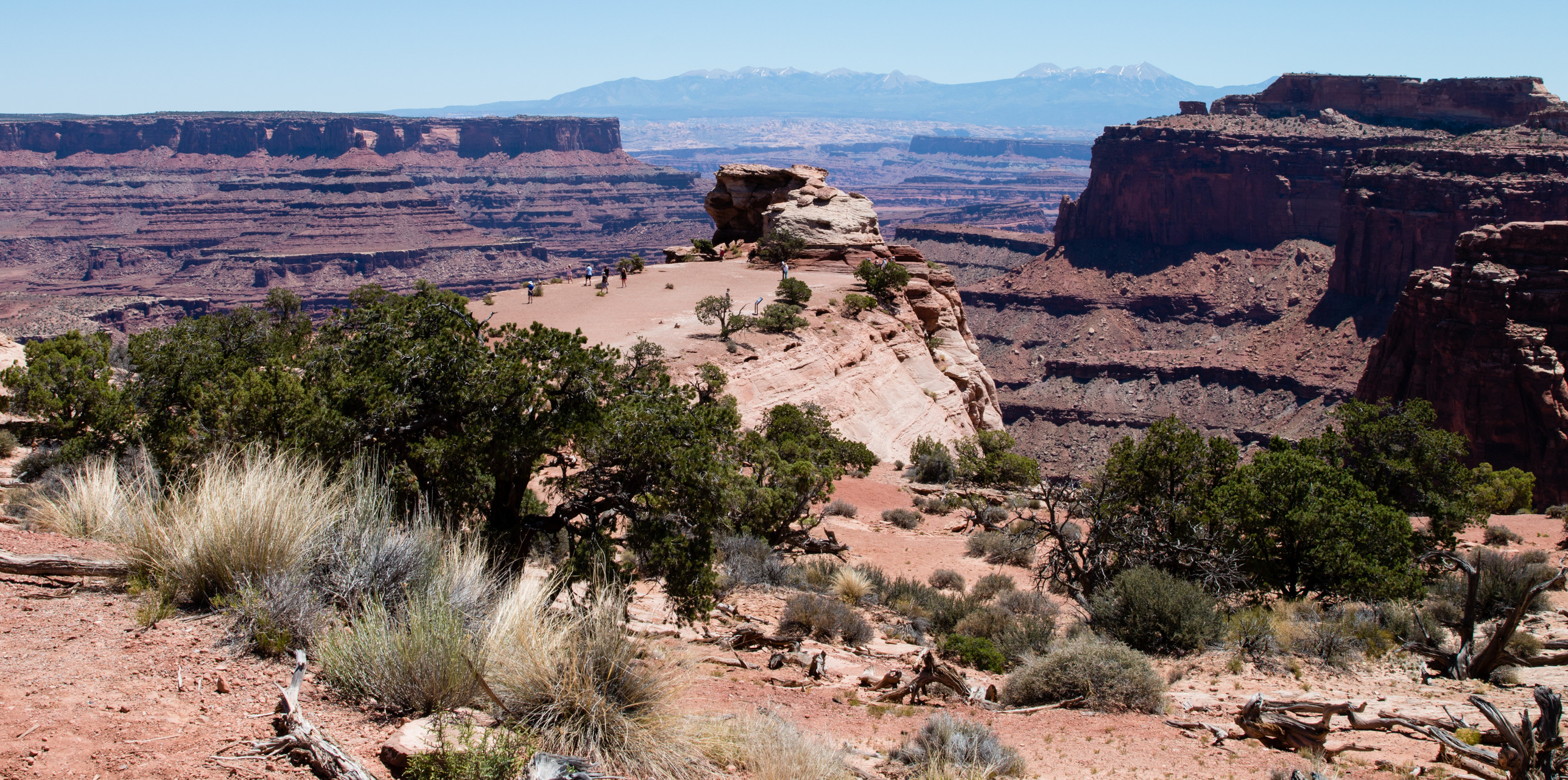Small trees, shrubs, and bunches of grass are scattered across a hillside above a canyon in the desert. In the distance there is a large canyon and a mountain range. 