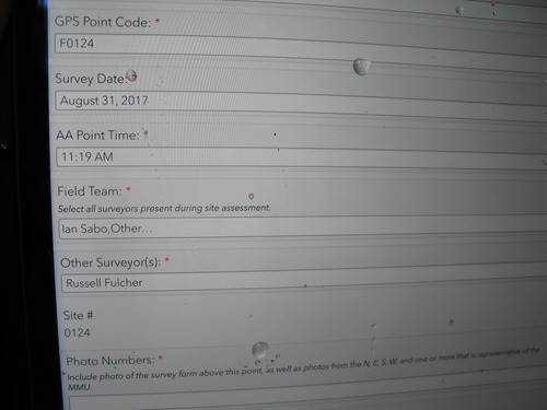 GRSM Accuracy Assessment. Plot Code: GRSM_AA_0124_1