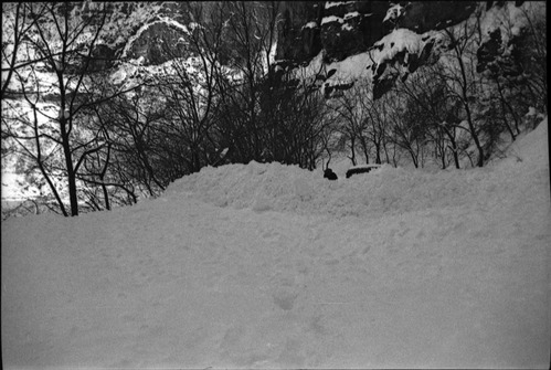 Snow slide at Temple of Sinawava, 8 feet of snow on road.