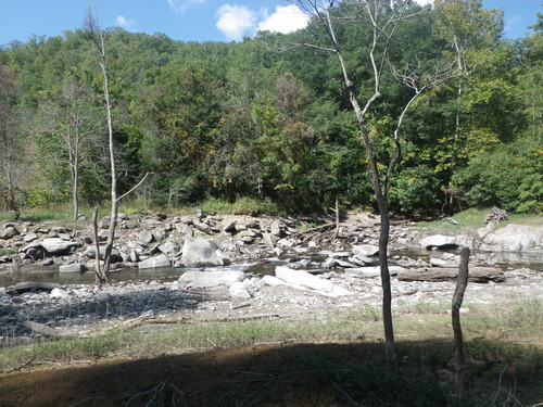 GRSM Accuracy Assessment. Plot Code: GRSM_AA_0168_5