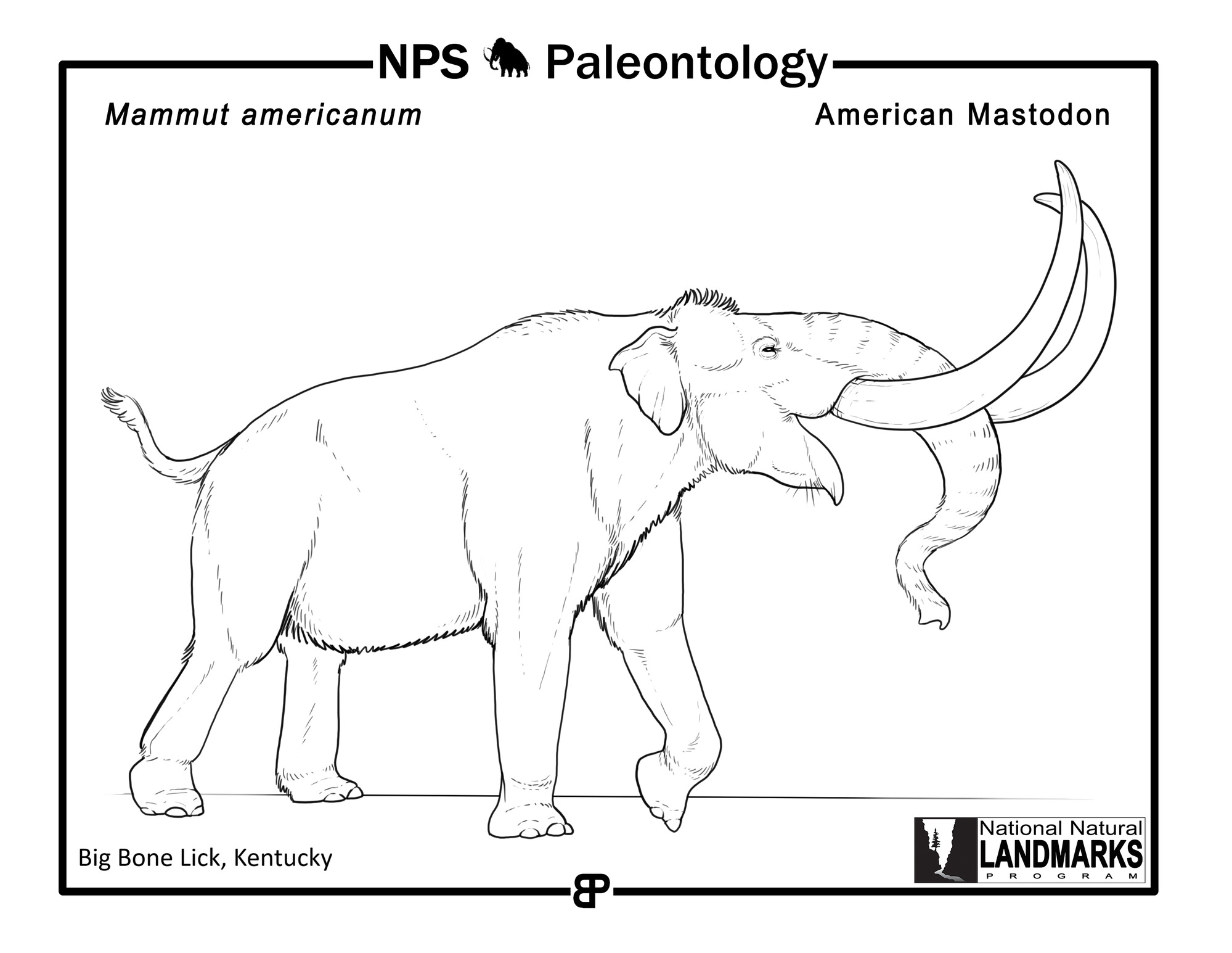 Line drawing of prehistoric American mastodon