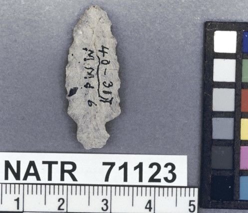 NATR   71123 -- Collins projectile point