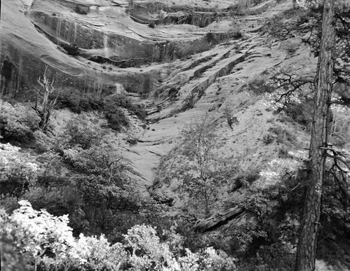BW Photos of the Temple of Sinawava.
