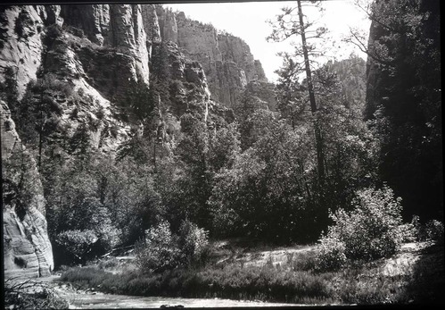 Zion Narrows at open glade.