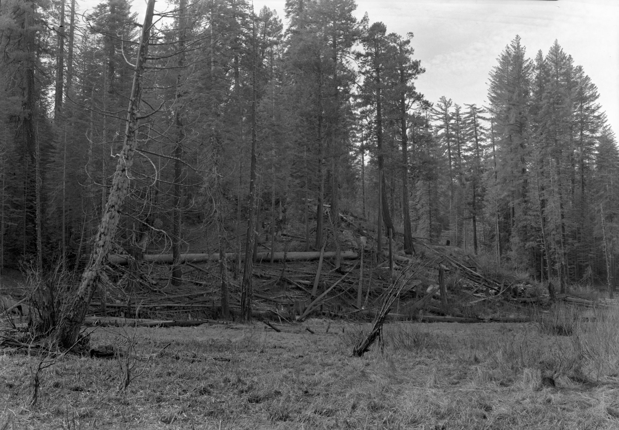 Rocky point at south end of Cuneo property.