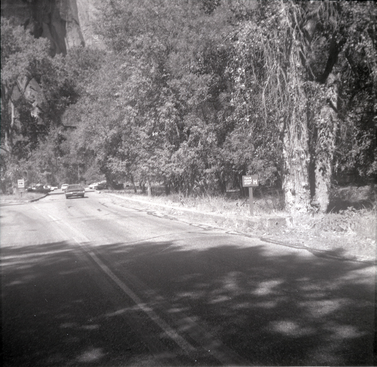 Car driving along the scenic canyon drive near the Grotto.