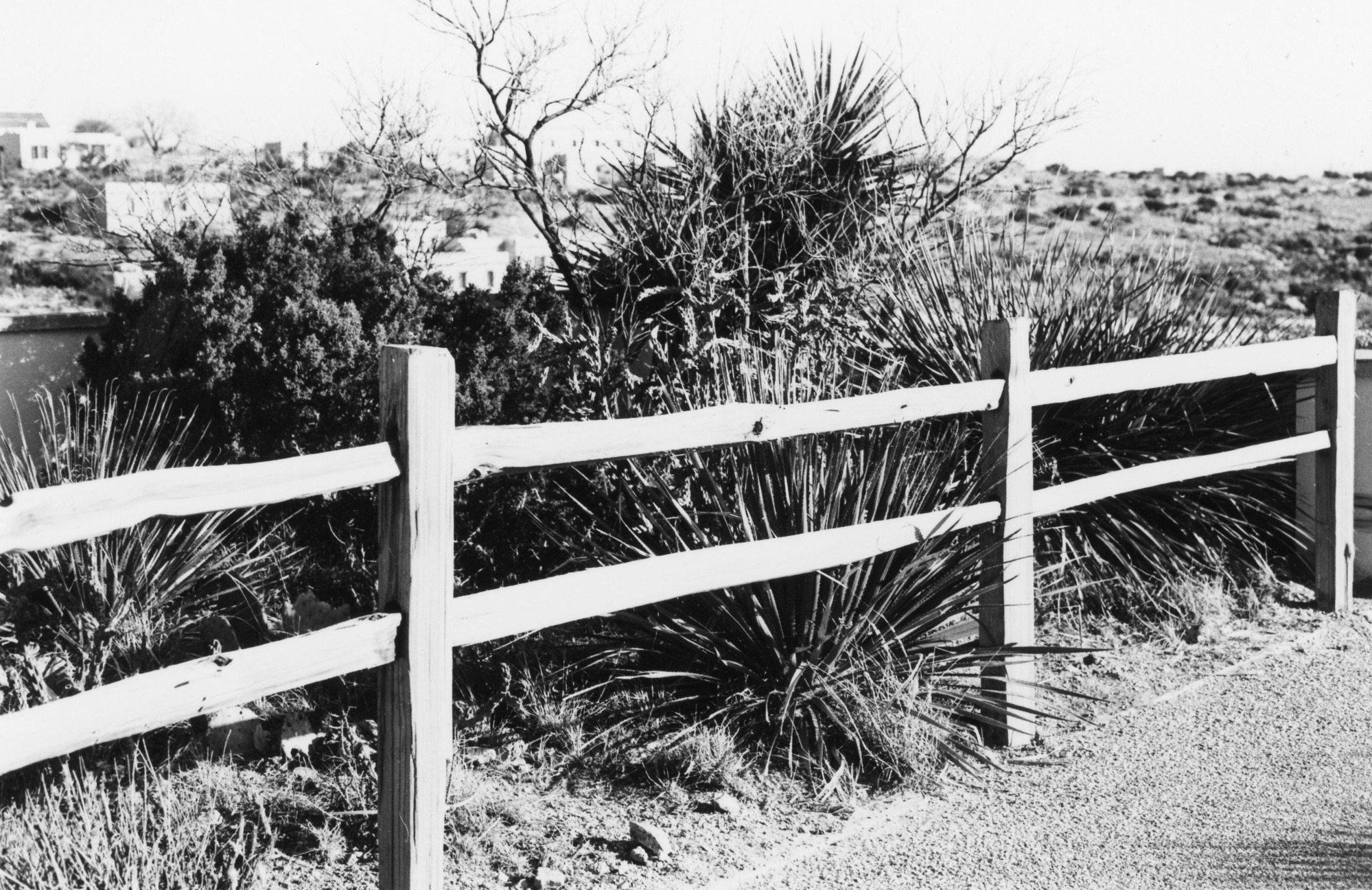 A black and white photograph of a wooden fence and desert shrubbery. The ranger residences can be seen out of focus in the background. 