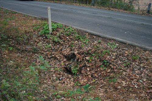 Hurricane Irene Damage caused by clogged Culverts on River Road in August 2011
