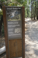 A metal panel with a metal base has informational text on it about Zumwalt meadow. There is a packed dirt path to the right of the sign. In the background there are trees. 