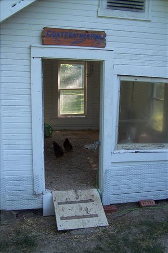 Junior Ranger, Goats and Gobblers, Miscellaneous