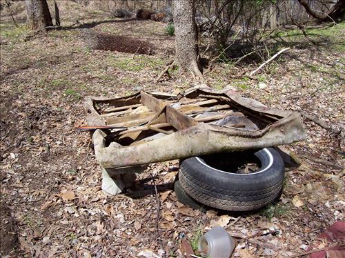 FOWA-Dumping in Area C at Fort Washington Park, April 9, 2009