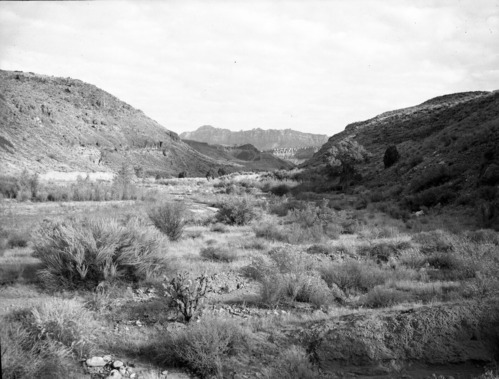 Habitat record - sandsage, cholla, arrowweed north up Coal pits Wash.