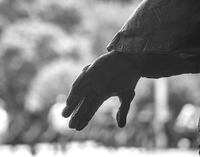 The hand of a statue of a soldier at the Korean War Veterans Memorial. 