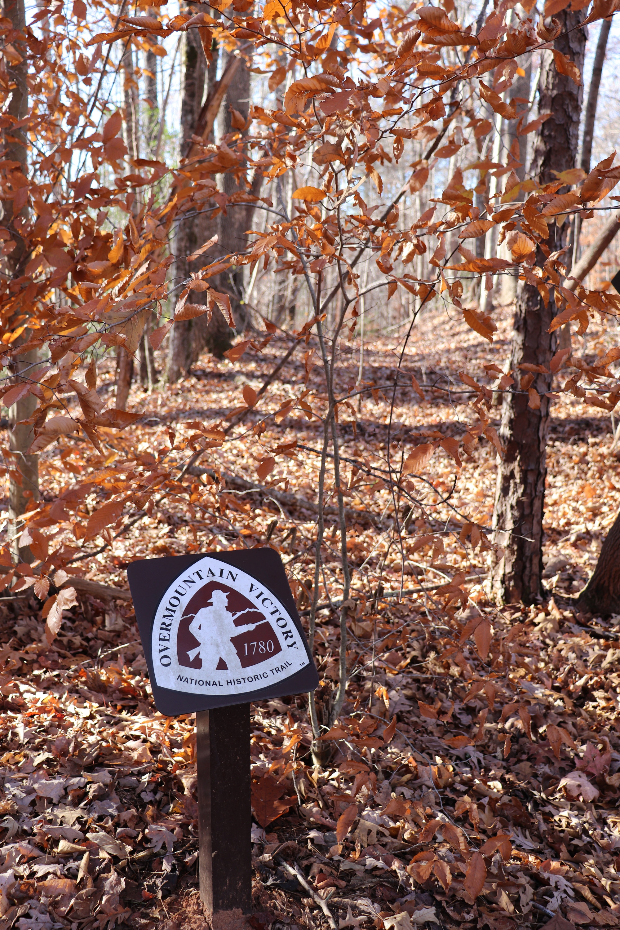 Brown metal sign with white triangle logo in front of a trees covered in leaves of orange and brown. 