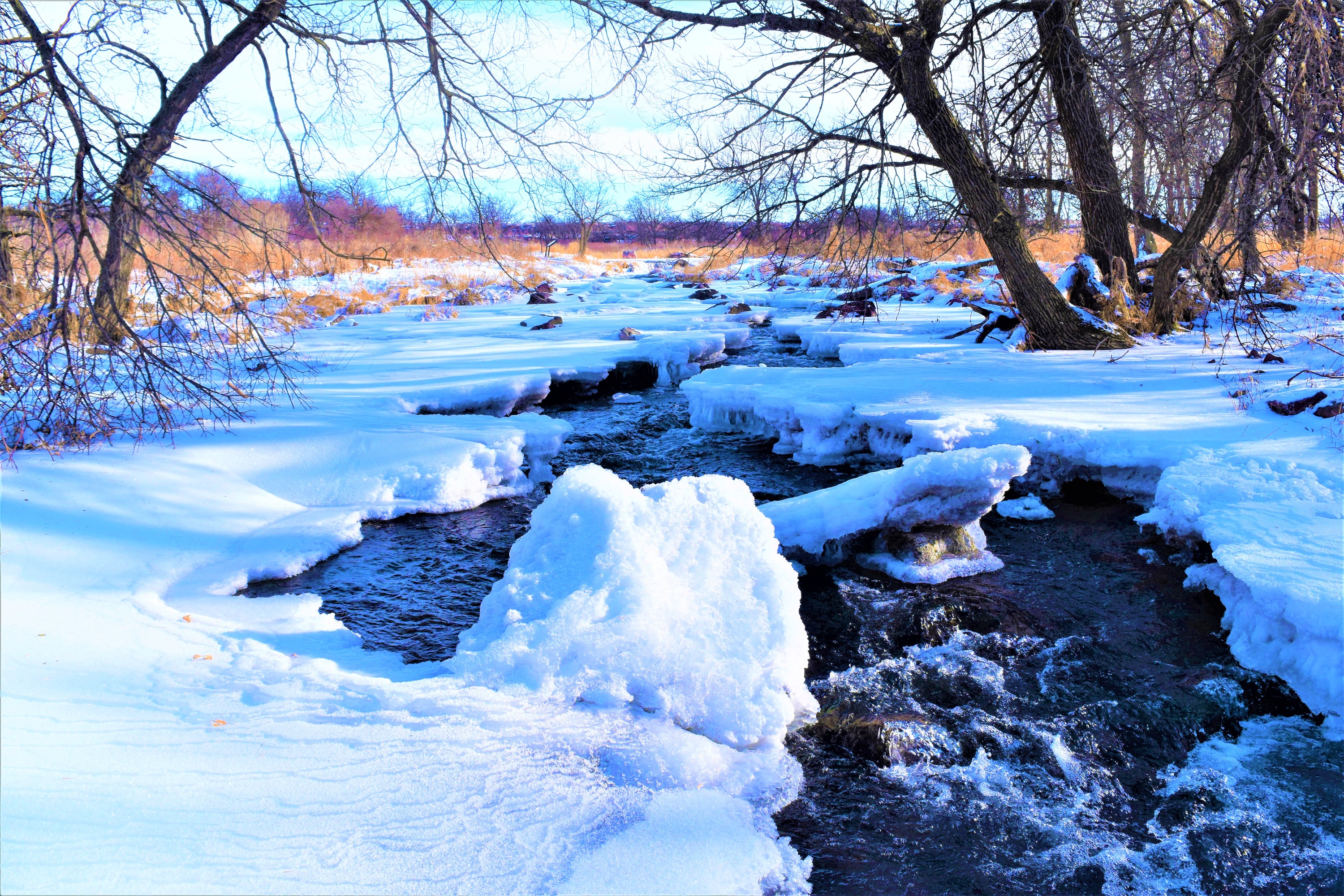 A creek surrounded by ice