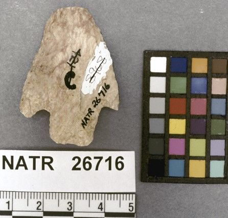 NATR   26716 -- Terminal Archaic Barbed Cluster projectile point