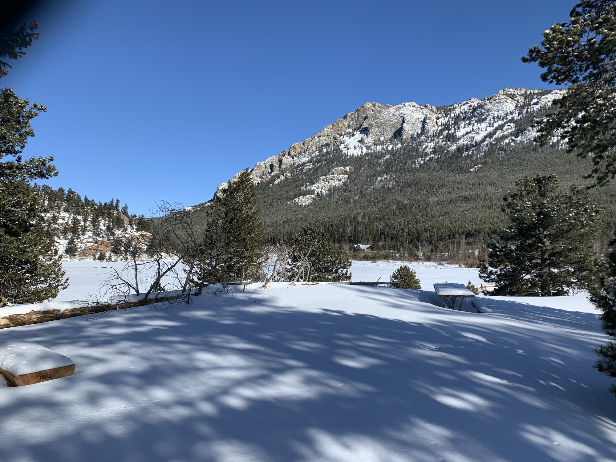 Lily Lake South Side Picnic Area in March
