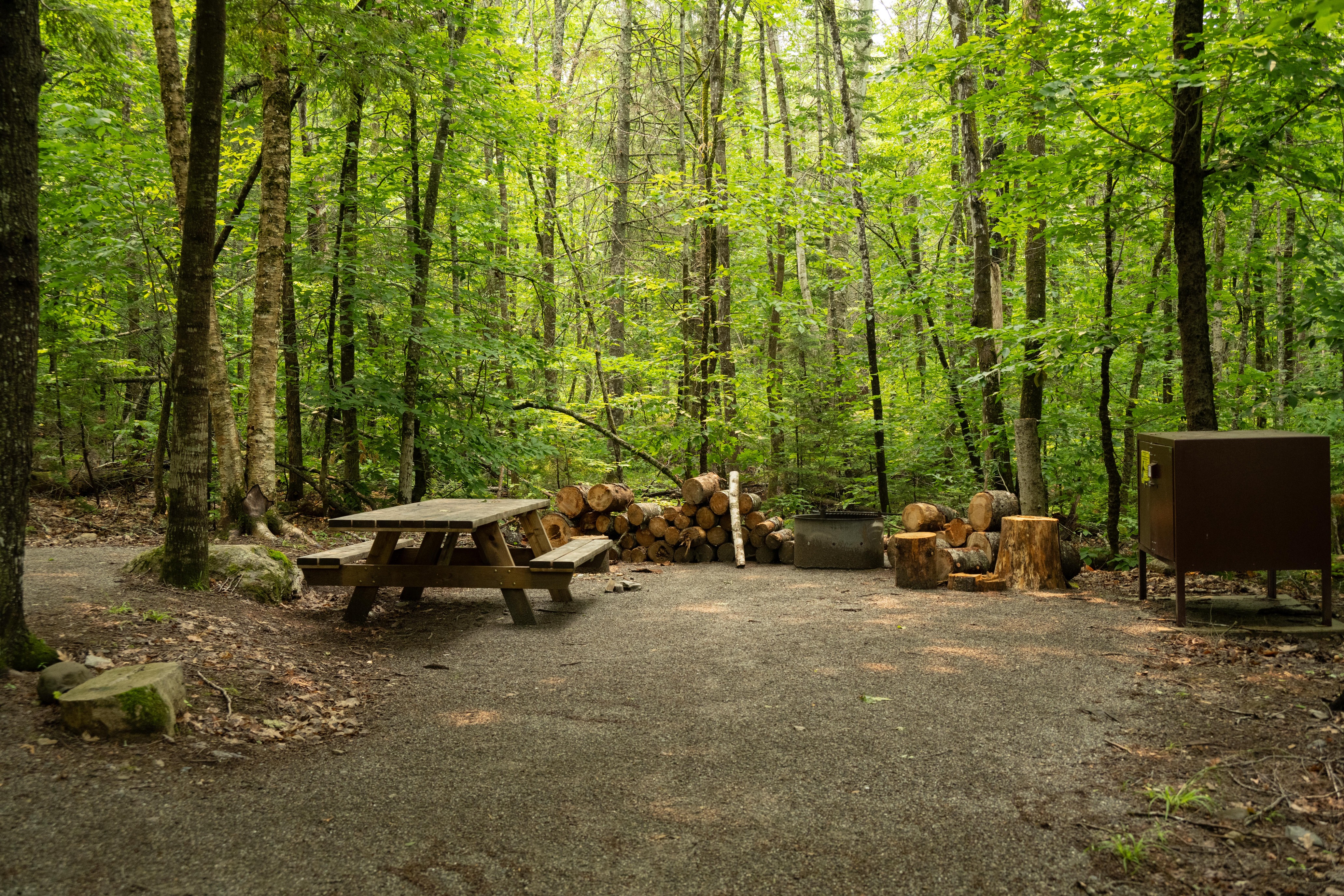 A picnic table, fire pit, and bear box in site 1 at Lunksoos campsites.