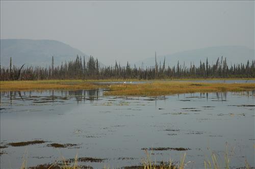 9 Water Quality Testing in Yukon-Charley Rivers National Preserve, August 2005